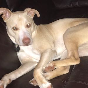 Meet your Posher, Johanna